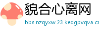 貌合心离网